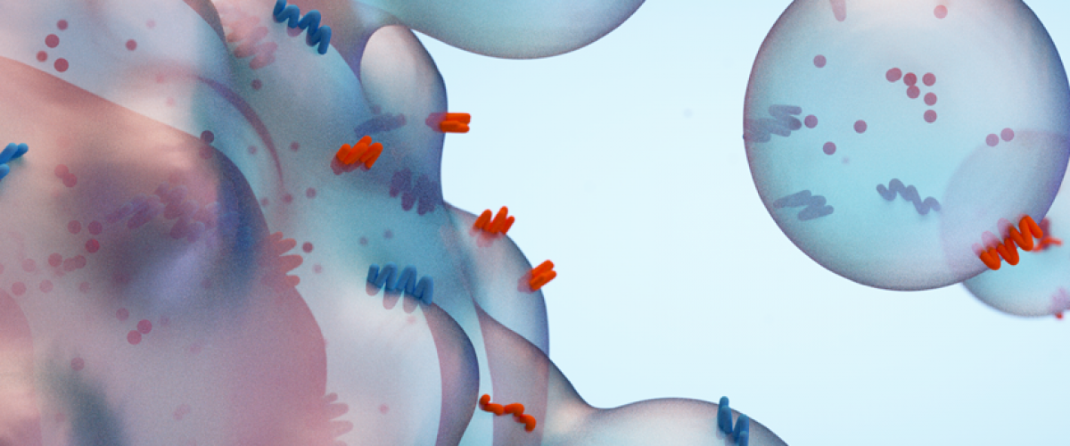 exosomes exosomes